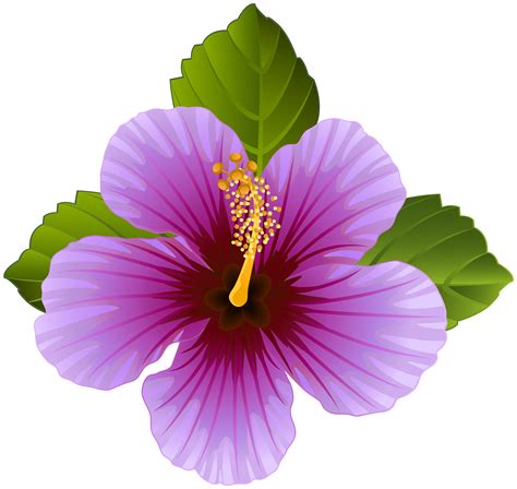 Purple Flower Transparent Clip Art Image Gallery