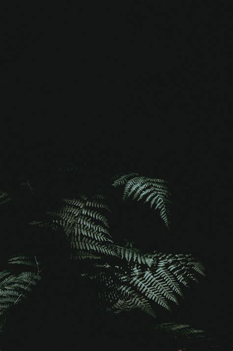 Gambar Wallpaper Iphone Black
