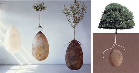 Eco Friendly Burial Pods Will Turn Your Loved Ones Into Trees