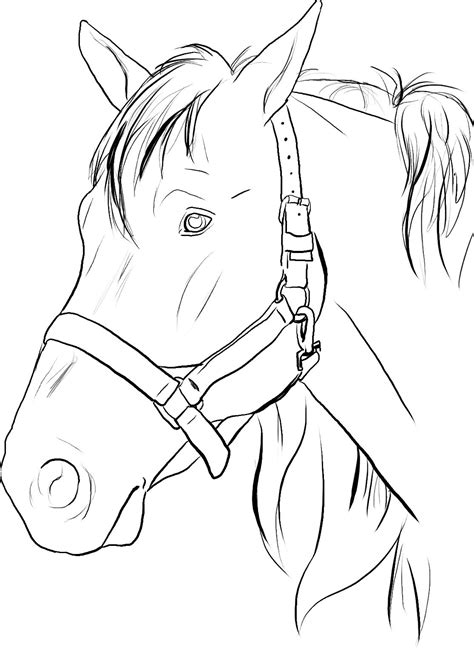 Head Of Horse Coloring Page Horse Coloring Pages Horse Coloring
