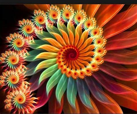 Flower Spinners Les Arts Nature Géométrique Art Fractal