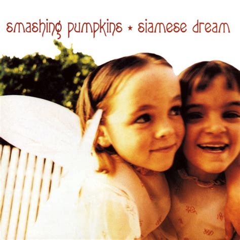 The Very Best Of The Smashing Pumpkins The Smashing Pumpkins Siamese Dream Darcy Wretzky
