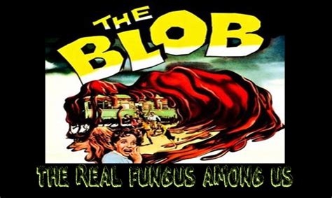 102622 The Blob The Real Fungus Among Us W Dr Jason West