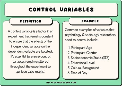25 Control Variables Examples 2023