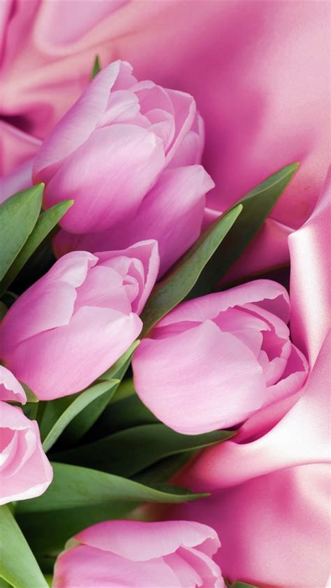 Pink Tulip Macro Pink Satin Iphone X 876543gs Wallpaper Download