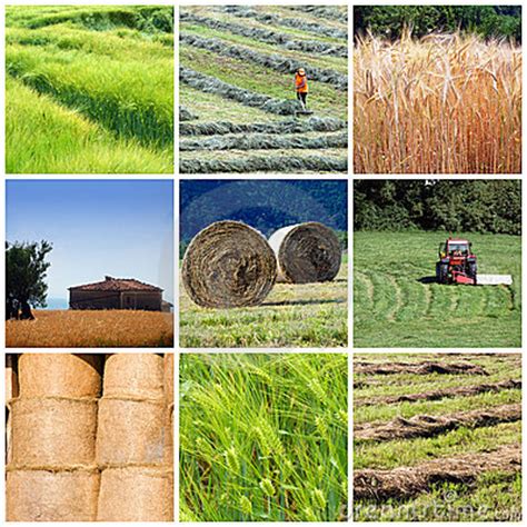 web20kmg / Agriculture: Library Resources and Research