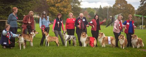 Collie Club Of Wales Open October 2019