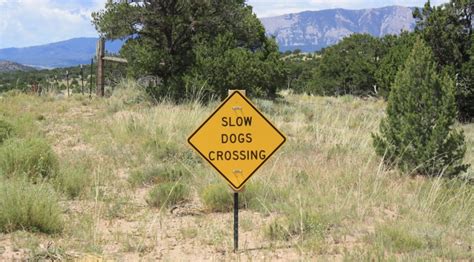 Strangest Road Signs Youve Ever Come Across Got Pics Page 3 Two