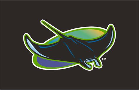 All letters are in uppercase, but the first is still different in size and is much larger than the rest. Tampa Bay Devil Rays Cap Logo - American League (AL ...