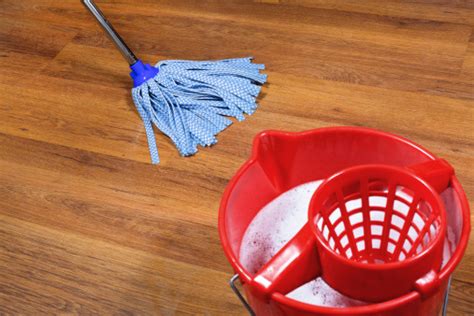 Si acabas de hacer una reforma y pones maderas nuevas, pregunta al fabricante. Cómo limpiar pisos de madera o parquet | Cleanipedia