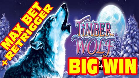 Timber Wolf Max Bet Retrigger Slot Machine Big Win Youtube