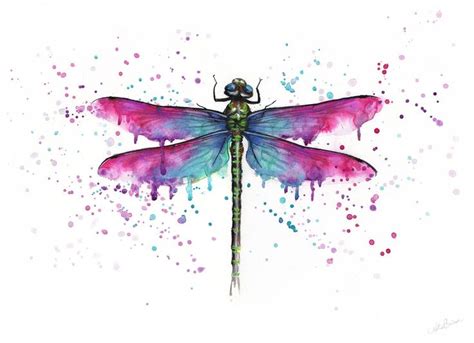 Dragonfly Watercolour Painting Illustration Original Or Print Image 0