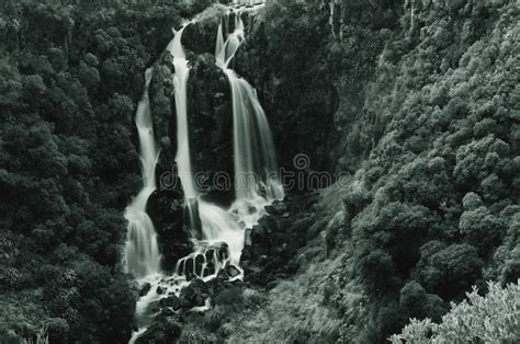Waipunga Falls Stock Image Image Of Waterfall Water 91515117