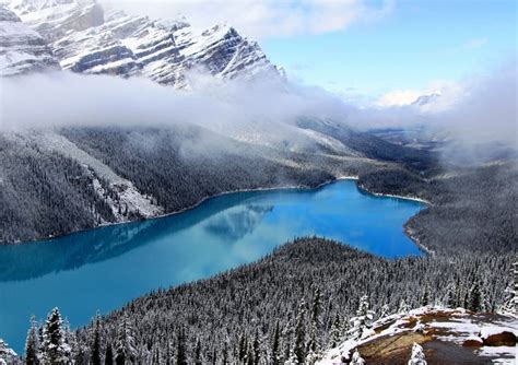 Магнетичните млечносини води на езерото Пейто в Канада