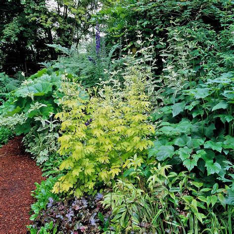 Some places you don't want to miss include callaway gardens, wild animal safari, fdr. 20 Shade Garden Design Ideas That Prove You Can Grow ...