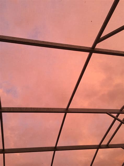 Howyougethegirl “ The Sky Is Making Everything Pink And Its Making Me