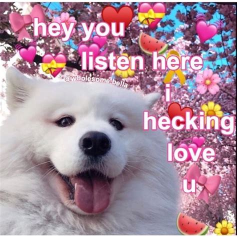 Pin By Harmonie Seavey On Wholesome Love Cute Love Memes
