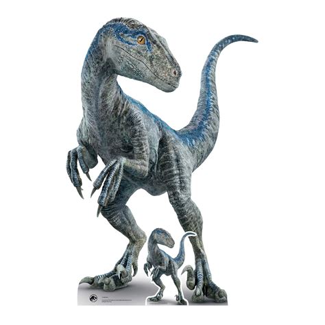 Buy Star Cutouts Sc4080 Dinosaur Blue Raptor Jurassic World Dominion Lifesize Cardboard Cutout
