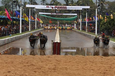 Coastal Karnataka Solo Trip Mangalore Udupi Gokarna Tripoto