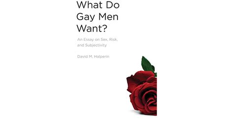 What Do Gay Men Want An Essay On Sex Risk And Subjectivity By David M Halperin