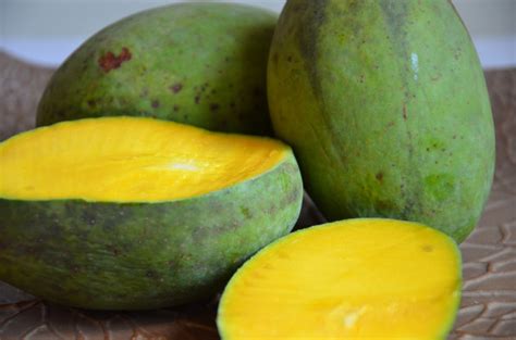 Anda bisa menanam pohon mangga di dalam pot agar ukurannya tetap kecil, atau menanamnya langsung ke tanah untuk memperoleh pohon yang ukurannya lebih. 7 Popular Indonesian Mangoes You #MustTry - Indoindians.com