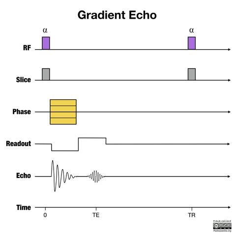 Mri Physics Diagrams Image