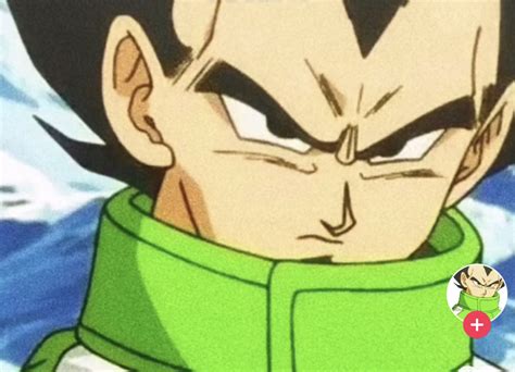 Tiktok What Is The Vegeta Cult Why Everyone Has Green Jacket Profile