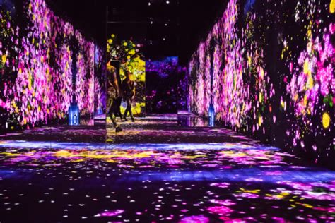 Worlds First Digital Art Museum In Tokyo Japan A Multi Sensory
