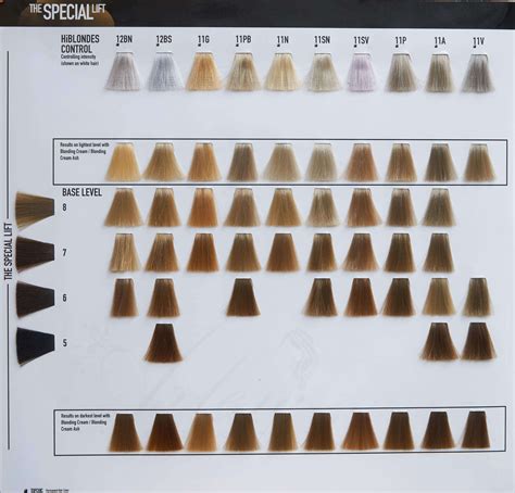 Goldwell Topchic Colorance Color Swatch Chart Book Ubicaciondepersonas Cdmx Gob Mx