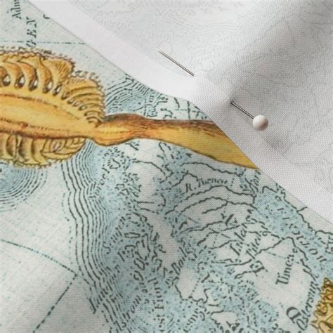 Nautical Map W Sea Shells Fabric Spoonflower