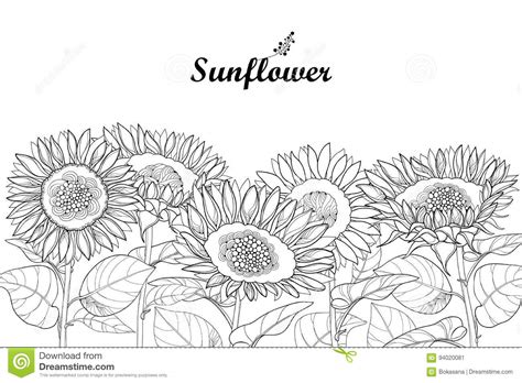 Download Sunflower Border Stock Illustrations - 1,174 Sunflower ...