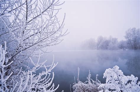 Winter Fog Free Stock Photo - Public Domain Pictures