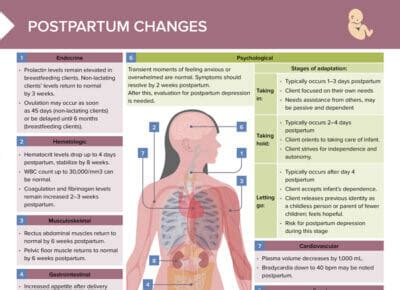 Postpartum Hemorrhage Free Cheat Sheet Lecturio Nursing