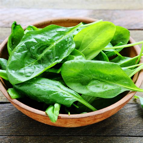 Spinach | Spinacea oleracea | SUBA SEEDS COMPANY Spa