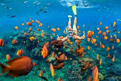 The 20 Best Snorkelling Places In The World