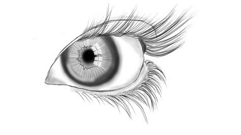 Eye Line Drawing Line Art Art Artist Inspiration