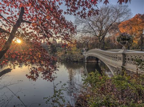 Bow Bridge Central Park Autumn Stock Photo Image Of Landmark Outdoor
