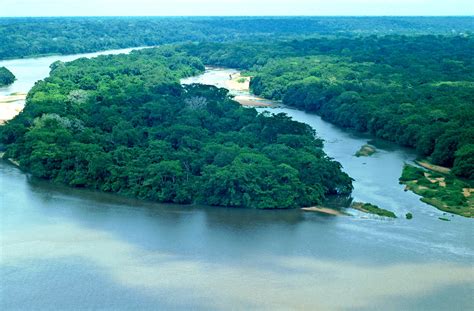 Sangha River Close To Bayanga At The Dzanga Ndoki National Park