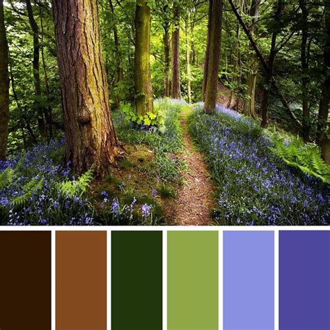 Pin By Leire Alejandra On Colour Collect Nature Color Palette Green