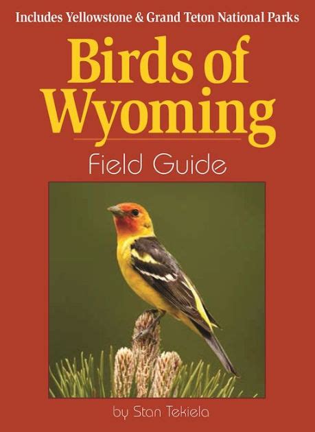 James r kavanagh vertebrates elementary science field guide geography montana wineries wealth how to make. Birds of Wyoming Field Guide: Includes Yellowstone & Grand Teton National Parks by Stan Tekiela ...
