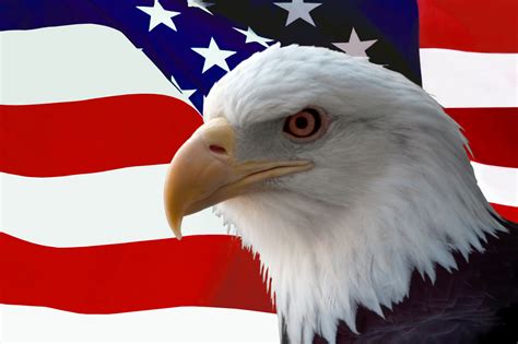 🔥 50 Patriotic Wallpaper Usa Flag Eagle Wallpapersafari