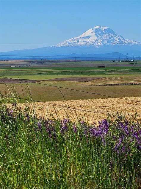 Goldendale Mountain Identifier Updated April 2024 13 Photos Us 97