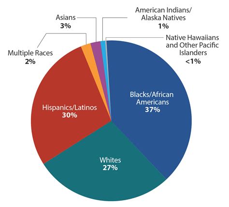 United states citizens who love their country. Racial Makeup Of Us Pie Chart - Mugeek Vidalondon