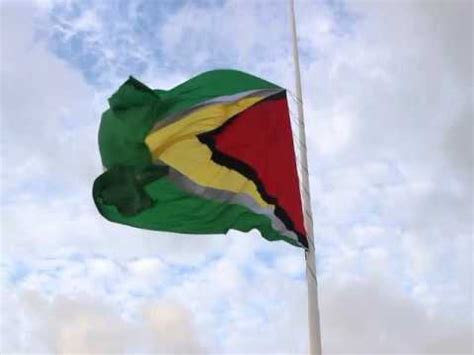 It was designed by whitney smith, an american vexillologist (though originally without the black and white fimbriations, which were later additions suggested by the college of arms in the united kingdom). Golden Arrowhead to be flown at half-mast tomorrow in ...