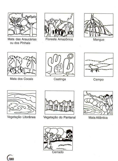 Atividade Sobre Vegetação 3 Ano