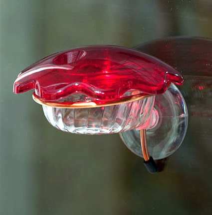 Dish and saucer hummingbird feeders. Dish or Saucer Hummingbird Feeders - Quality Dish or ...