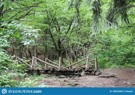 Picture Of An Old Wooden Bridge In A Summer Forest Stock Photo Image