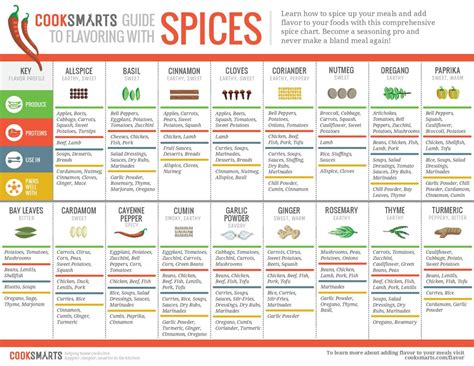 Spice And Herb Up Your Life Spice Chart Cooking For Beginners