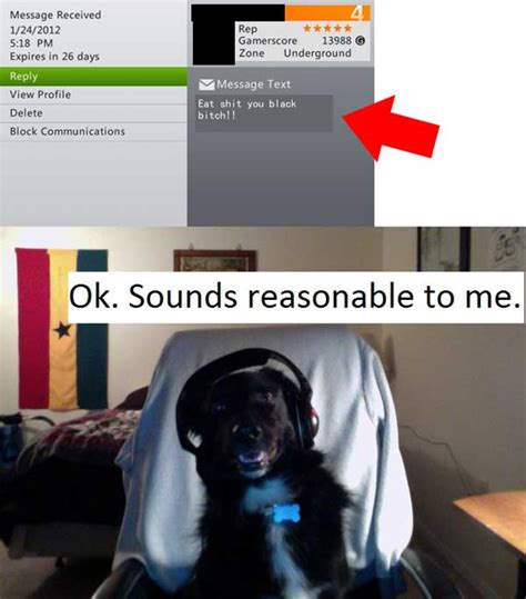 Gamer Dog Appreciates Suggestion Funny Pictures Quotes Pics Photos Images Videos Of