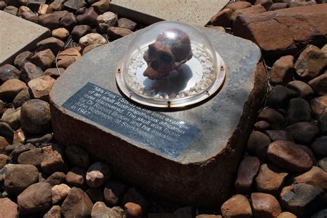 Fossil Sites In The Cradle Of Humankind Maropeng And Sterkfontein Caves